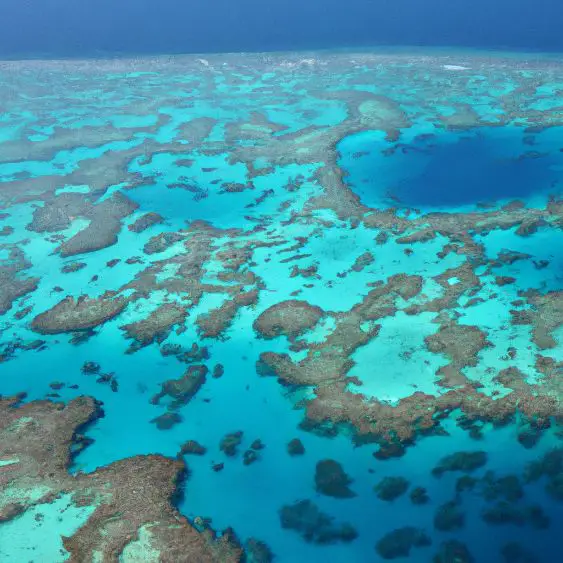 Great Barrier Reef : Interesting Facts, Information &#038; Travel Guide