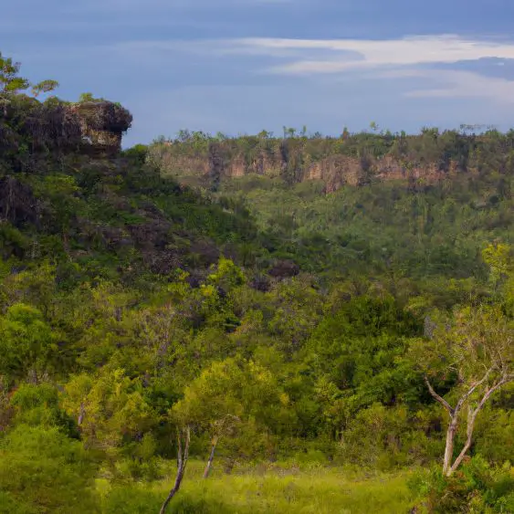 Kakadu National Park : Interesting Facts, Information &#038; Travel Guide