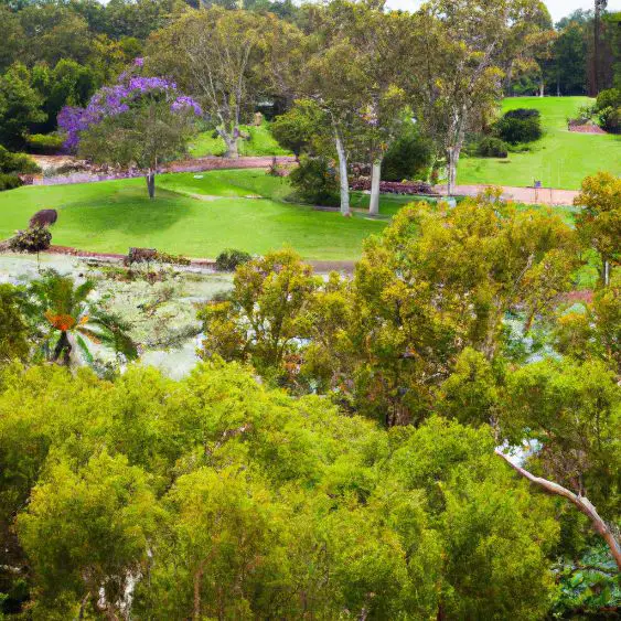 Kings Park and Botanic Garden : Interesting Facts, Information &#038; Travel Guide