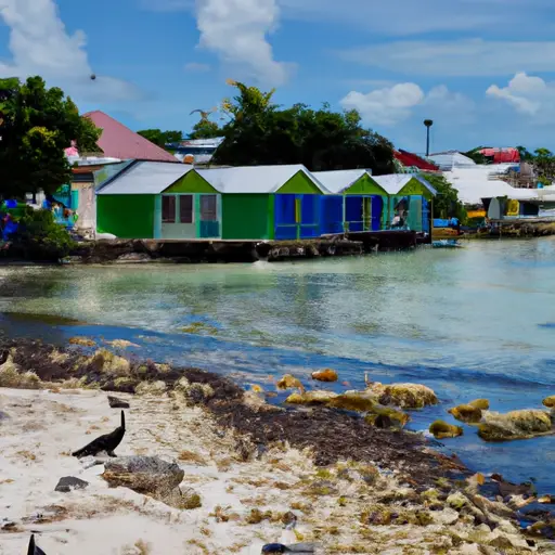 Pelican Village Bridgetown Interesting Facts Information And Travel Guide